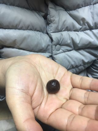 케이트25님이 올린 리뷰 사진 2