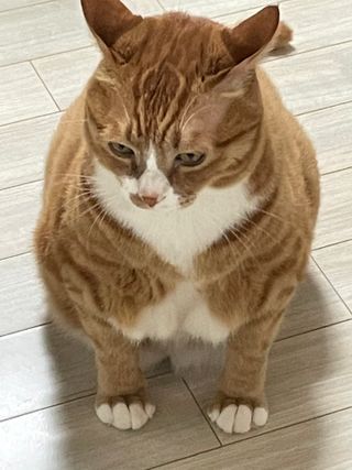 채한별님이 올린 리뷰 사진 3