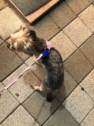 꿀님이 올린 리뷰 사진 2