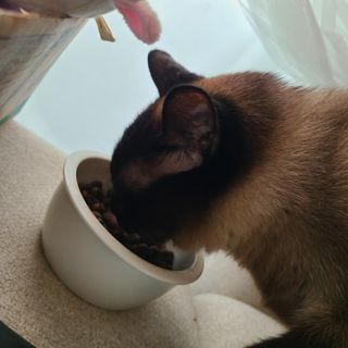 바비와구르미님이 올린 리뷰 사진 1