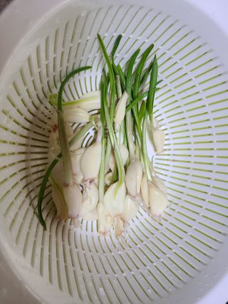 글라라5205님이 올린 리뷰 사진 4
