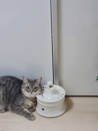 Jihanette님이 올린 리뷰 사진 2