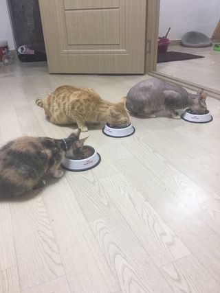 narihalmany님이 올린 리뷰 사진 1