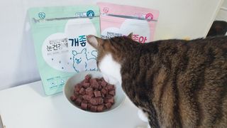 My Pet Care 천연단백질 눈건강에 개좋아 — 5점을 준 리뷰어가 2021년 1월 올린 사용 사진