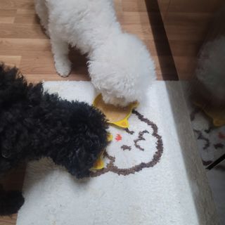 ❤꼬네우니🧡님이 올린 리뷰 사진 4
