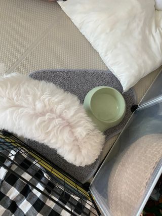 허당당당님이 올린 리뷰 사진 4