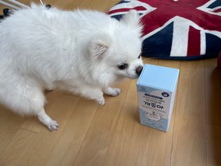 설아리님이 올린 리뷰 사진 2