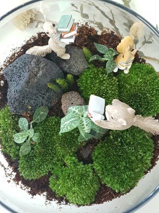 제니구리님이 올린 리뷰 사진 4