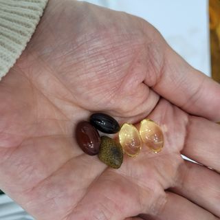 뉴트리미 에센셜팩 1개월분, 30포 — 5점을 준 리뷰어가 2023년 4월 올린 사용 사진