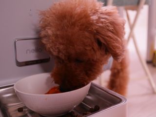 민쓰님이 올린 리뷰 사진 4