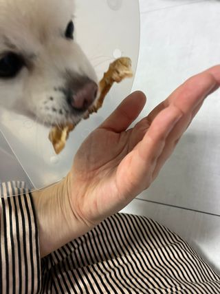 여름님이 올린 리뷰 사진 3