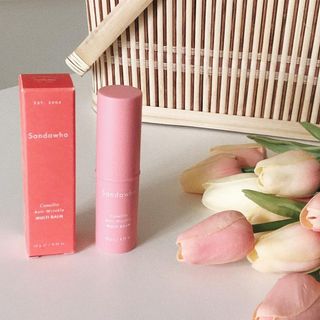 스킨큐어 산다화 카멜리아 안티 링클 멀티밤 — 5점을 준 리뷰어가 2022년 4월 올린 사용 사진