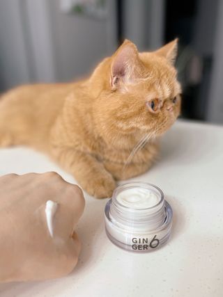 딸기우유님이 올린 리뷰 사진 3