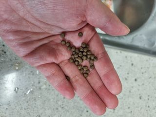 단지단지님이 올린 리뷰 사진 2