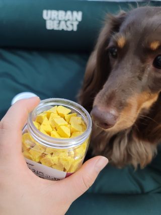 페페로니 진짜 프리바이오틱스 치즈+치즈고구마 180g+180g — 5점을 준 리뷰어가 2021년 7월 올린 사용 사진