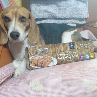 beaglelove님이 올린 리뷰 사진 1