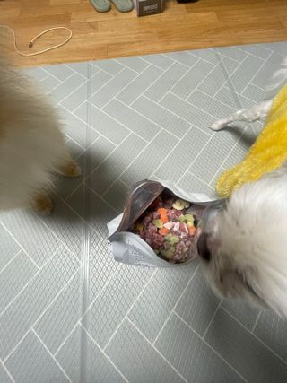 삐약삐삐약님이 올린 리뷰 사진 2