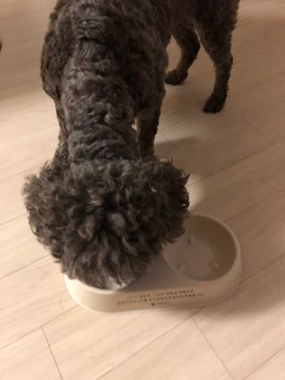 지구별철학자님이 올린 리뷰 사진 1
