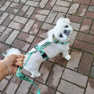 mini unni님이 올린 리뷰 사진 2
