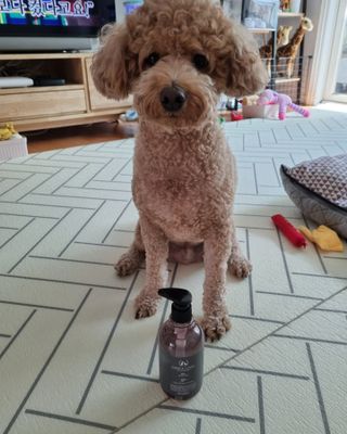 기린짱맘님이 올린 리뷰 사진 2