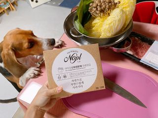 노플(NOPL) 노플 친환경 바이오 산화 생분해  항균 일회용 위생 비닐장갑 100매 + 지퍼백 소형, 대형 — 5점을 준 리뷰어가 2021년 10월 올린 사용 사진
