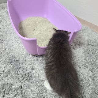 루잉루잉님이 올린 리뷰 사진 1