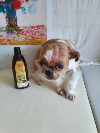 기룡이님이 올린 리뷰 사진 2