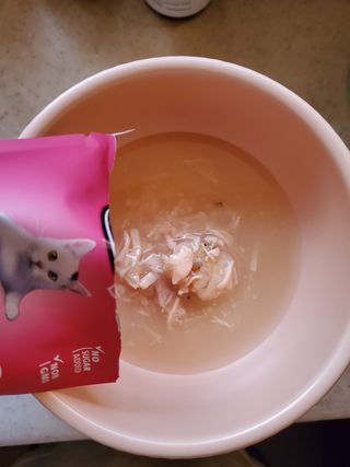 비타크래프트 고양이 수프 50g 3가지맛 x4팩씩 총 12팩 — 5점을 준 리뷰어가 2021년 8월 올린 사용 사진