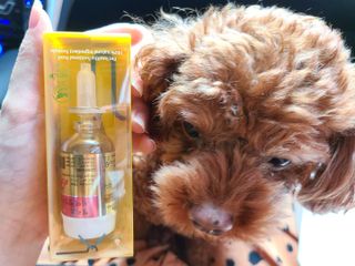 무지조타 반려동물용 꽃으로만든영양제 헬리코디펜스 15ml — 5점을 준 리뷰어가 2021년 8월 올린 사용 사진