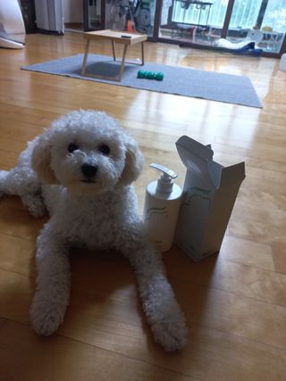 귀요미두공주맘님이 올린 리뷰 사진 3