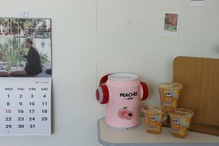 돌 MF[Dole] 파인애플컵/망고컵/복숭아컵 198g 6입X1박스 (맛 1가지 랜덤 발송) — 5점을 준 리뷰어가 2024년 5월 올린 사용 사진