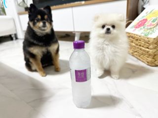 몽베스트 [MONTBEST] 500mL 20병 — 5점을 준 리뷰어가 2023년 6월 올린 사용 사진