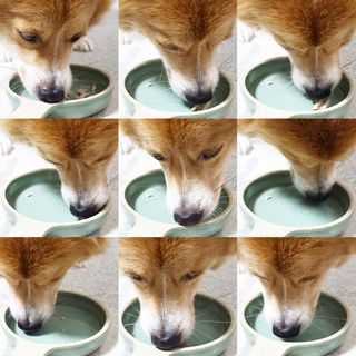 림림님이 올린 리뷰 사진 4