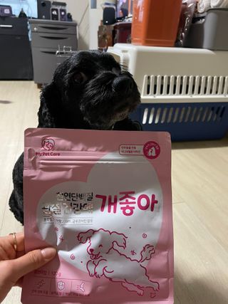 My Pet Care 천연단백질 관절건강에 개좋아 — 5점을 준 리뷰어가 2021년 2월 올린 사용 사진