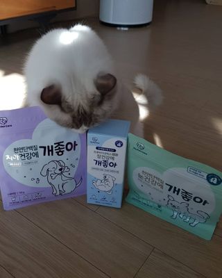 My Pet Care 천연단백질 눈건강에 개좋아 — 5점을 준 리뷰어가 2021년 1월 올린 사용 사진