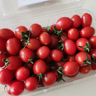 레드닥터 대추방울토마토 + 통째로 동결건조한 대추방울토마토 — 5점을 준 리뷰어가 2022년 12월 올린 사용 사진