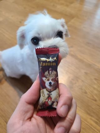 수성님이 올린 리뷰 사진 3
