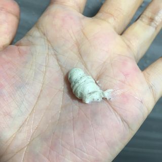 abiing님이 올린 리뷰 사진 3