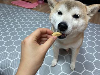 라미라미님이 올린 리뷰 사진 1