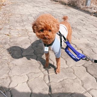 조이님이 올린 리뷰 사진 3
