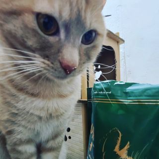 까꿍님이 올린 리뷰 사진 4