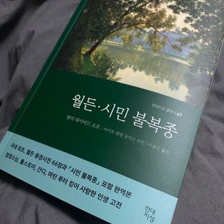 라민님이 올린 리뷰 사진 3