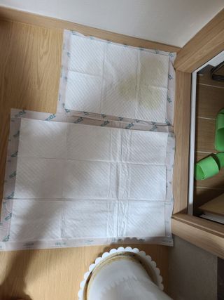 아베크 펫 와이드 프리미엄 대형 애견 강아지 배변 패드 30매 1팩 80g — 5점을 준 리뷰어가 2021년 7월 올린 사용 사진