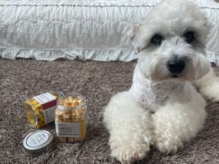 페페로니 진짜 프리바이오틱스 치즈+치즈고구마 180g+180g — 5점을 준 리뷰어가 2021년 7월 올린 사용 사진