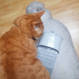 안젤라mj님이 올린 리뷰 사진 4