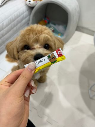 마루네님이 올린 리뷰 사진 1