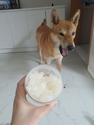 루비님이 올린 리뷰 사진 4