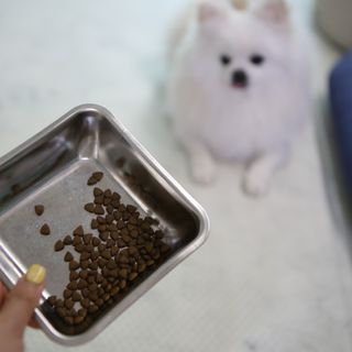 털털미녀님이 올린 리뷰 사진 4