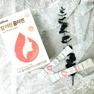 댑빵이님이 올린 리뷰 사진 2