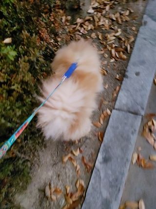 샐리지아님이 올린 리뷰 사진 3